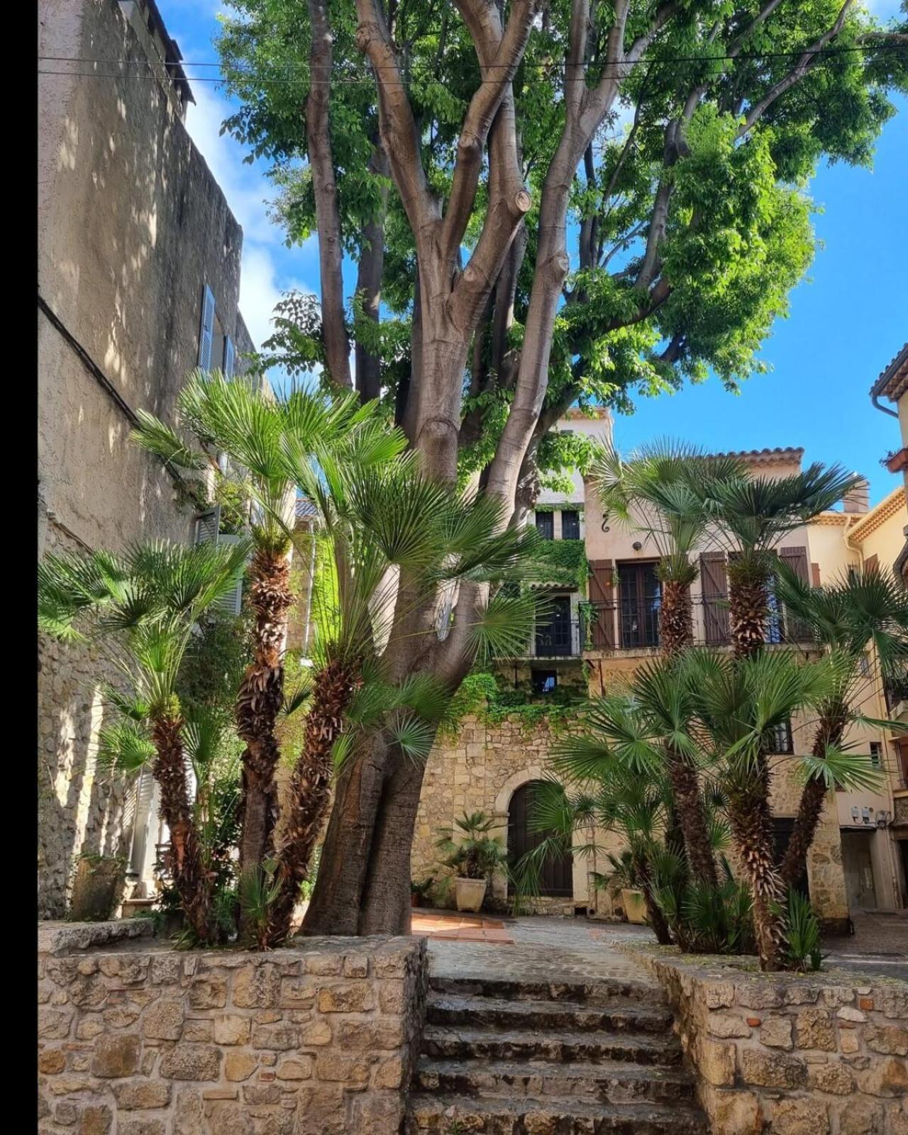 06An - Beautiful Apartment In The Heart Of Old أنتيب المظهر الخارجي الصورة