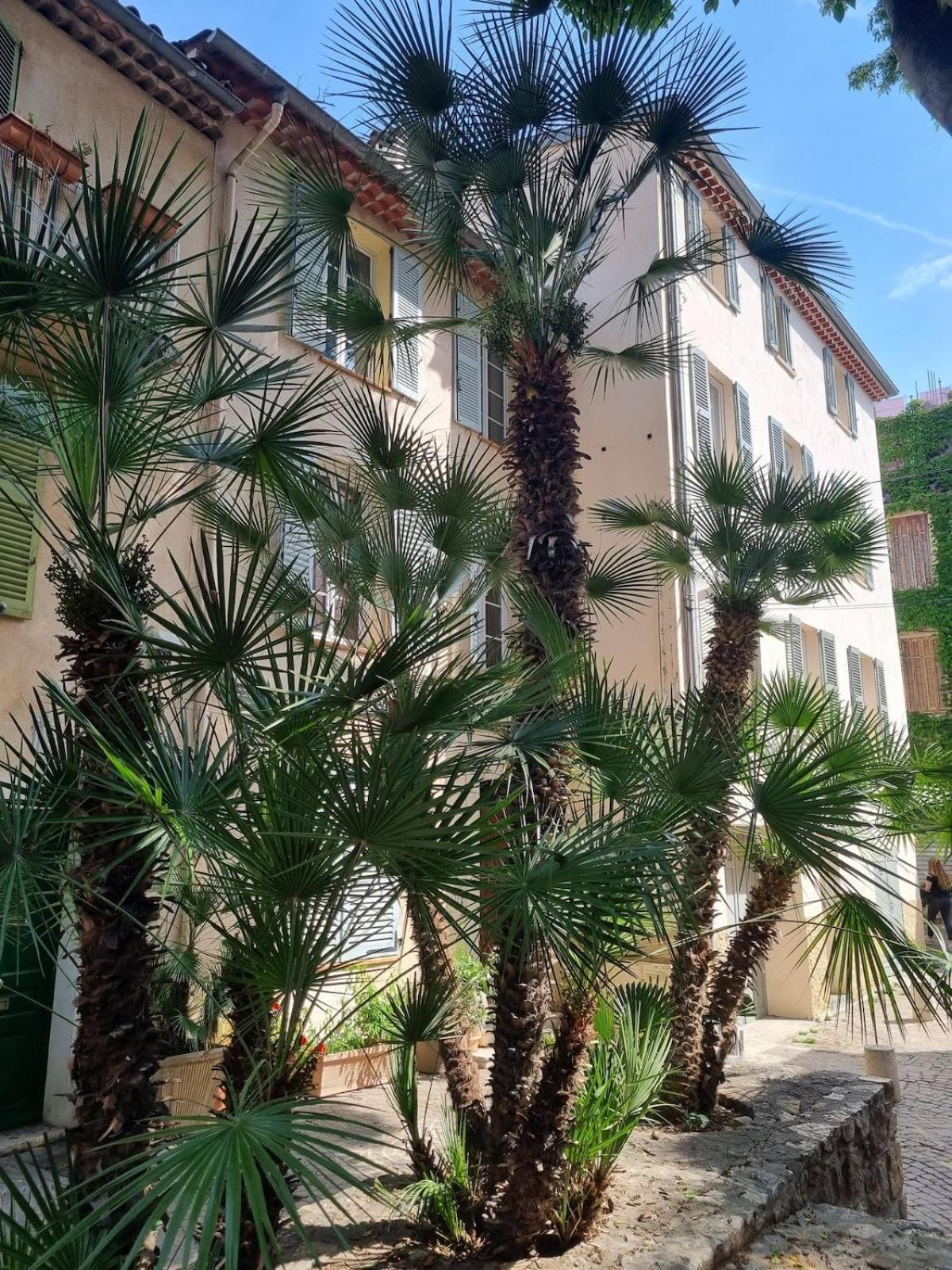 06An - Beautiful Apartment In The Heart Of Old أنتيب المظهر الخارجي الصورة